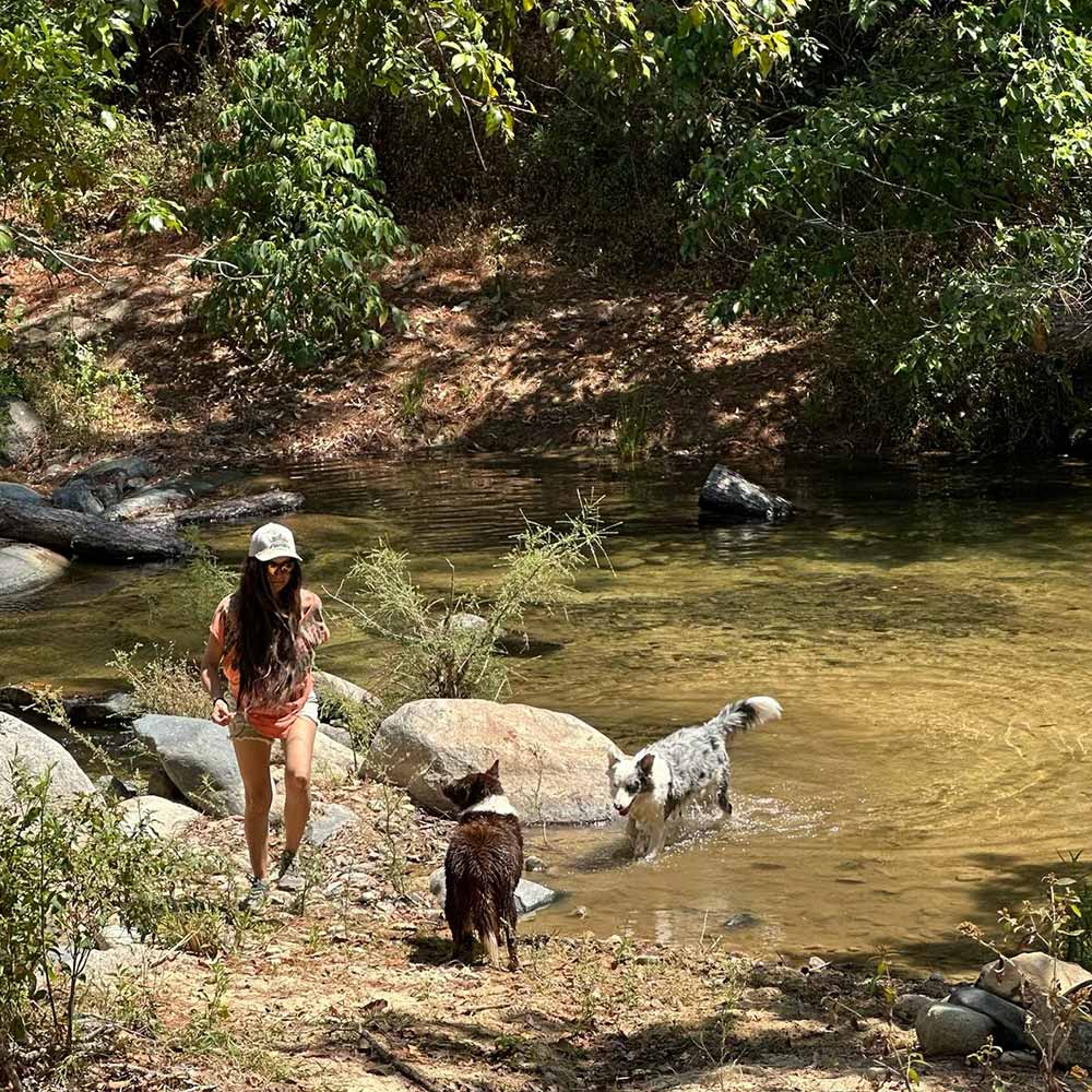 Mountain cabins in Puerto Vallarta