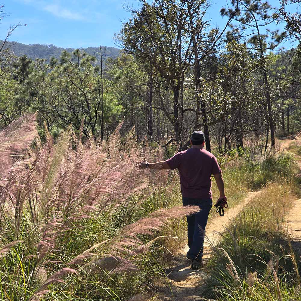 Mountain cabins in Puerto Vallarta