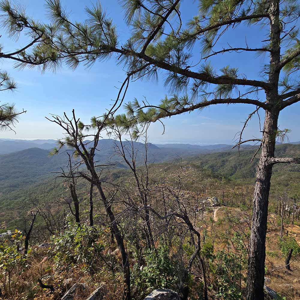 Mountain cabins in Puerto Vallarta